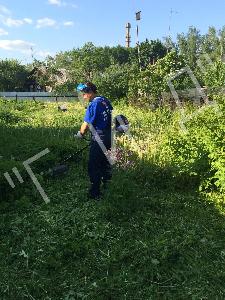 Покос травы в Наро-Фоминске image-02-06-16-06-49-7.jpg